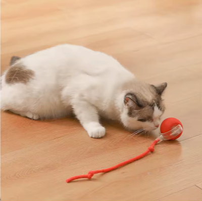 Smart Rolling Cat Toy Ball – Rechargeable Motion-Activated Pet Play Ball