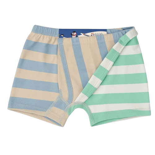 Boys' 2-Pack Striped Boxer Briefs