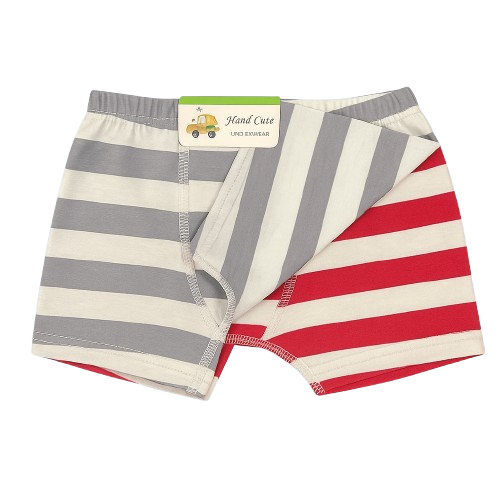 Boys' 2-Pack Striped Boxer Briefs