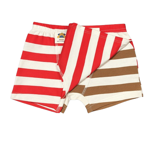 Boys' 2-Pack Striped Boxer Briefs
