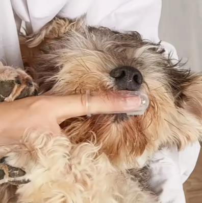 Soft Silicone Finger Toothbrush for Dogs, 2 Count