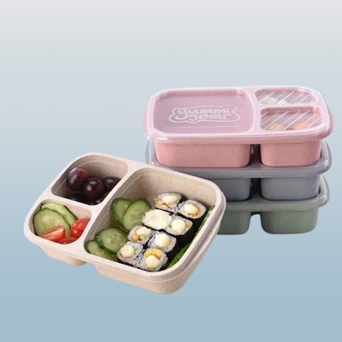3-Compartment Bento Lunch Box with Lid – Reusable Food Storage Container