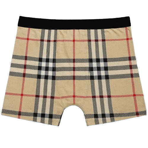 Men's 2-Pack Cotton Boxer Briefs