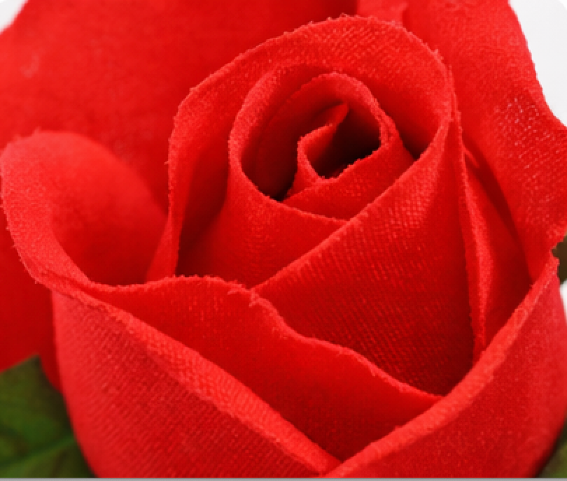 Rose “I Love You” Heart Flower Bear Decorative Gift