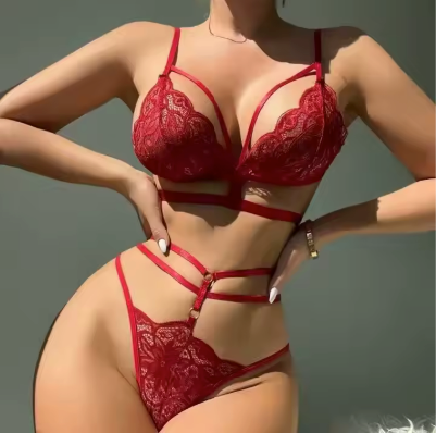 Strappy Lace 2-Piece Lingerie Set with Floral Embroidery and Harness Detail