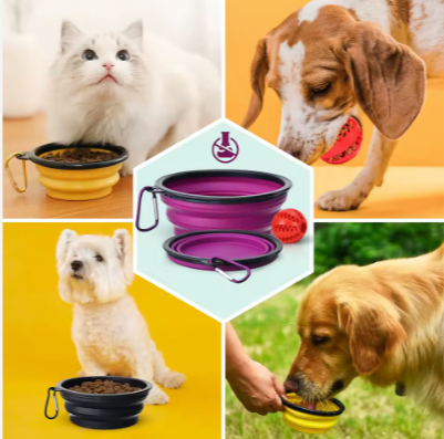 Collapsible Silicone Travel Pet Bowl with Carabiner Clip