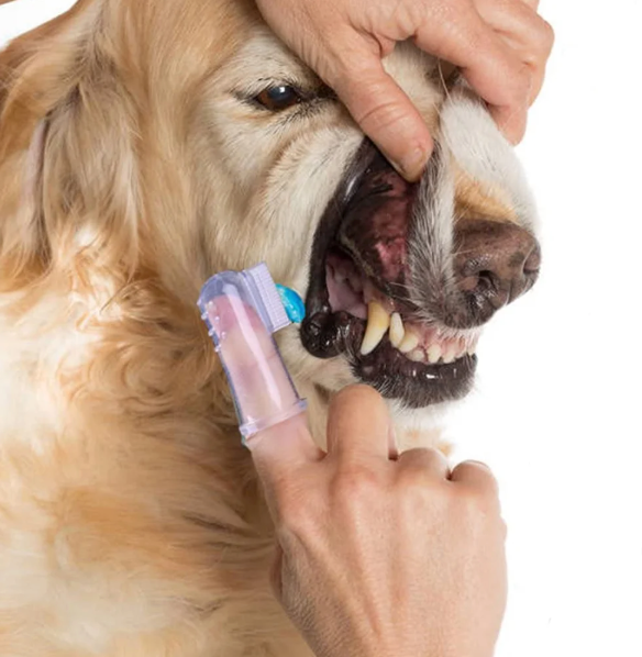 Soft Silicone Finger Toothbrush for Dogs, 2 Count