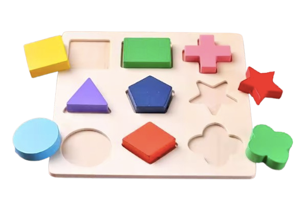Wooden Shape Sorting Blocks – Early Learning Educational Toy