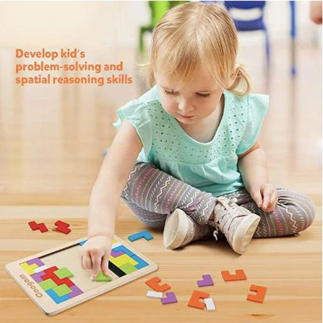 Wooden Blocks Puzzle Brain Teasers Toys for Kids