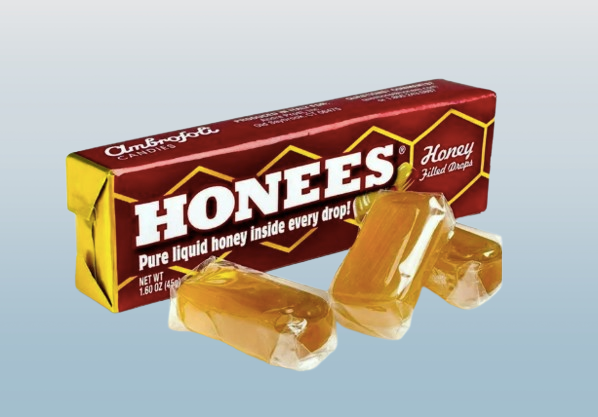 2-Pack Honees Original Honey