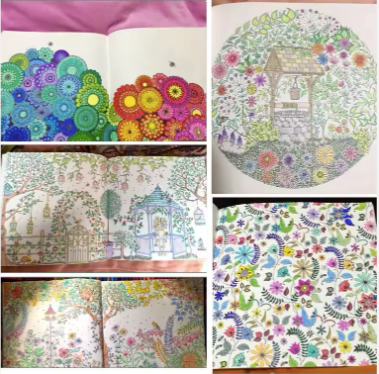 Zen Mandala Adult & Kids Stress Relief Coloring Book Assorted Artistic Themes Lost Ocean Enchanted Forest Wonderland Exploration Secret Garden Fantasy Dream Time Travel Animal World