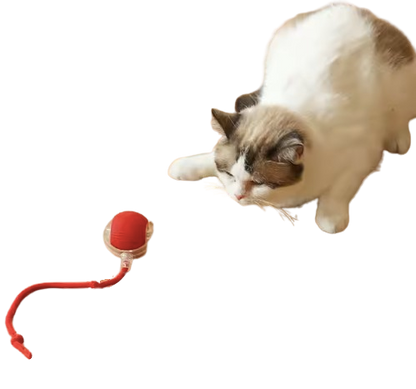 Smart Rolling Cat Toy Ball – Rechargeable Motion-Activated Pet Play Ball
