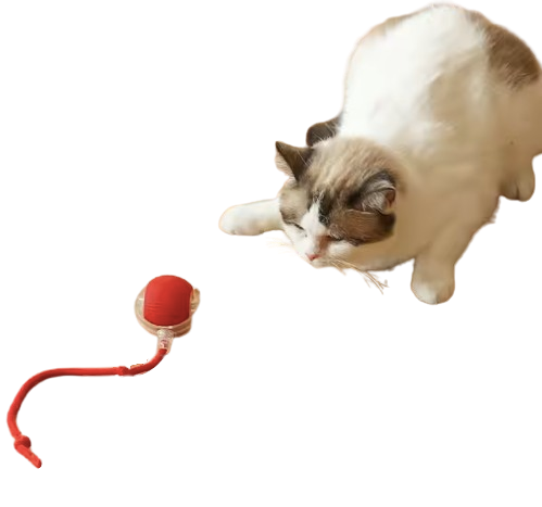 Safe Haven & CO Smart Rolling Cat Toy Ball – Rechargeable Motion-Activated Pet Play Ball