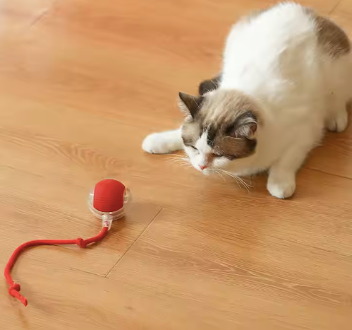 Smart Rolling Cat Toy Ball – Rechargeable Motion-Activated Pet Play Ball