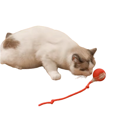 Smart Rolling Cat Toy Ball – Rechargeable Motion-Activated Pet Play Ball