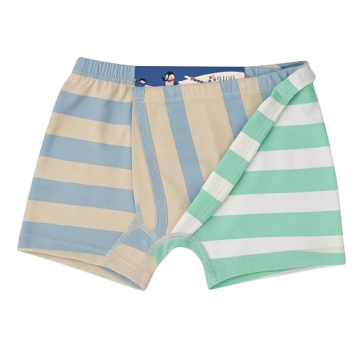 Boys' 2-Pack Striped Cotton Boxer Briefs