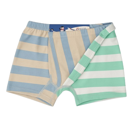 Boys' 2-Pack Striped Cotton Boxer Briefs