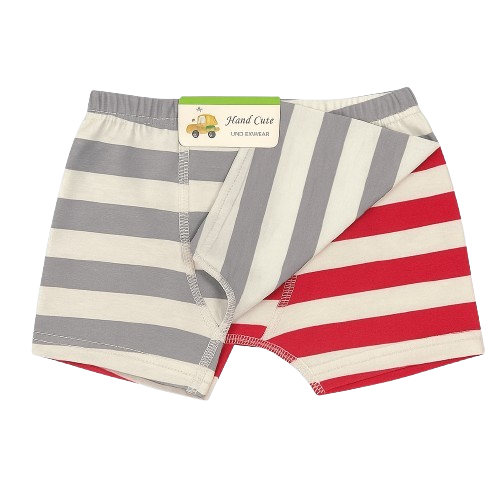 Boys' 2-Pack Striped Cotton Boxer Briefs