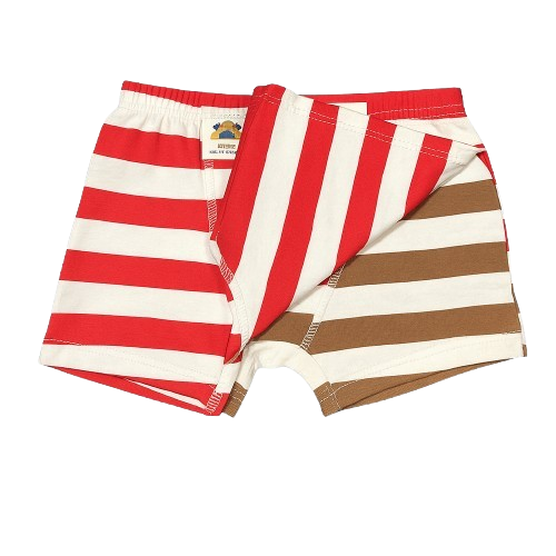 Boys' 2-Pack Striped Cotton Boxer Briefs