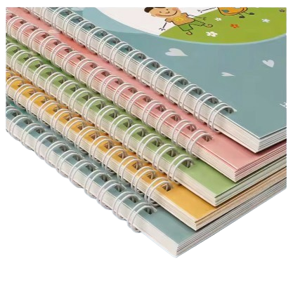 5-Piece Reusable Magic Groove Copybook Set
