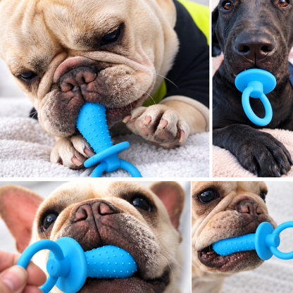 2-Pack Dog Pacifier-Shaped Chew Toys – Textured Puppy Teething & Interactive Pet Toys