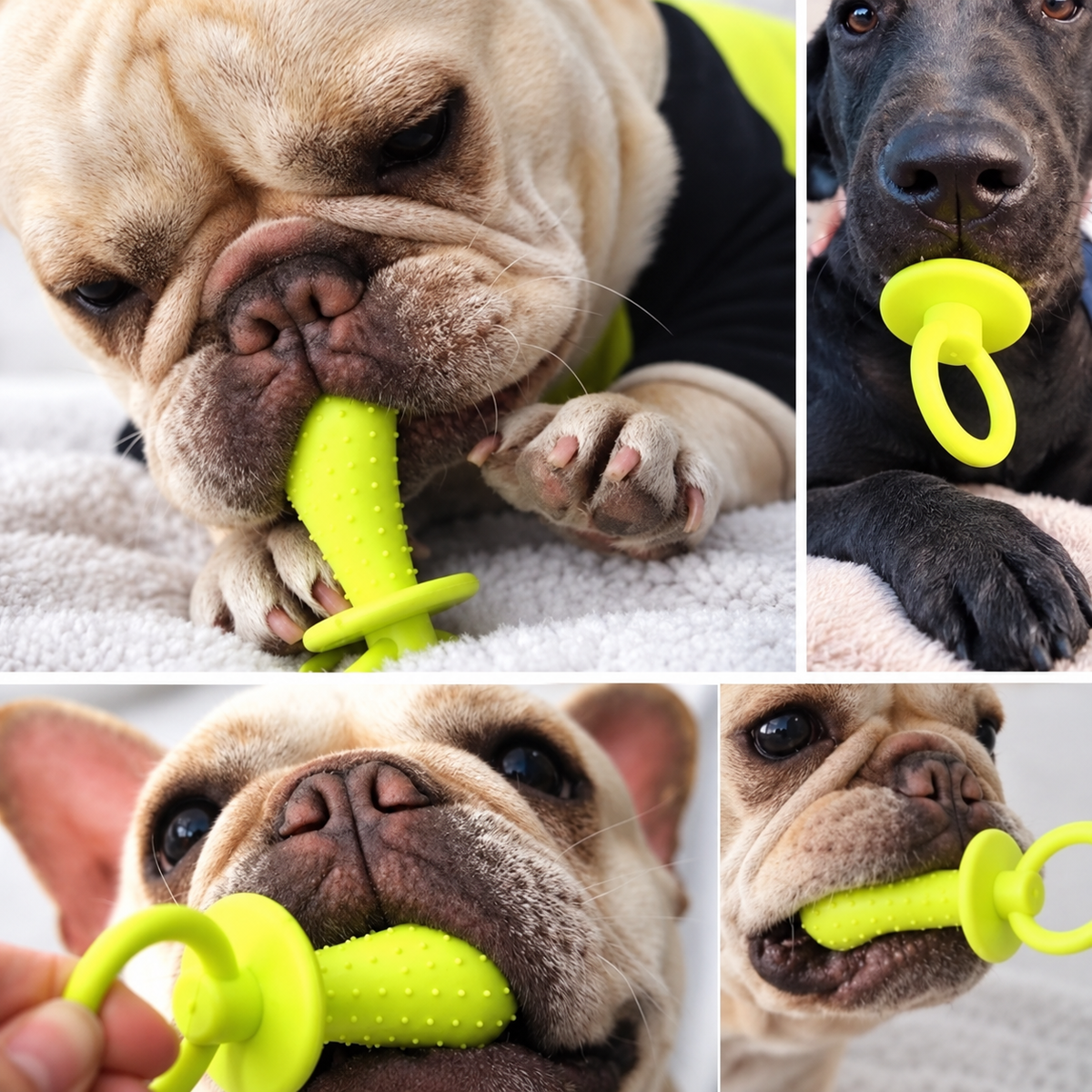 2-Pack Dog Pacifier-Shaped Chew Toys – Textured Puppy Teething & Interactive Pet Toys