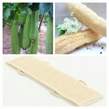 Exfoliating Loofah Back Scrubber with Dual-Sided Design – Bath & Shower Body Sponge Strap