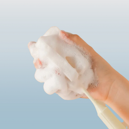 Long Handle Sponge Bottle & Glass Cleaning Brush
