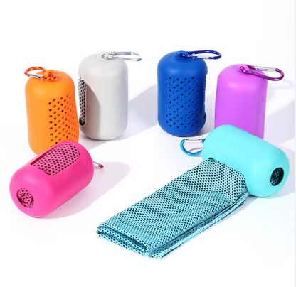 Quick-Dry Cooling Sport Towel with Ventilated Case, Absorbent Gym & Travel Towel