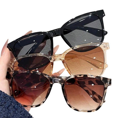 Women’s 3-Pack Large Square Frame Fashion Sunglasses