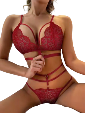 Strappy Lace 2-Piece Lingerie Set – Floral Embroidery with Harness Detail