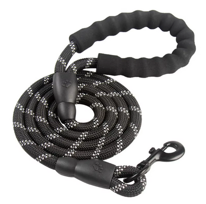 Reflective Braided Nylon Dog Leash with Padded Handle