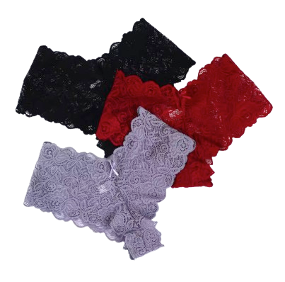 Safe Haven & CO Women’s Lace Mid-Rise Cheeky Panty