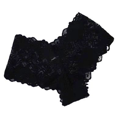 Safe Haven & CO Women’s Lace Mid-Rise Cheeky Panty