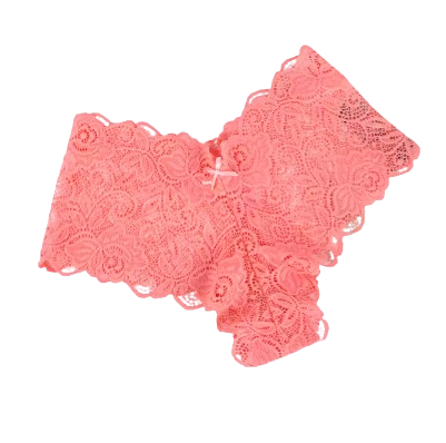 Safe Haven & CO Women’s Lace Mid-Rise Cheeky Panty