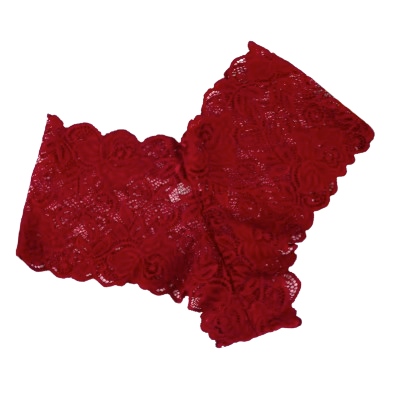 Safe Haven & CO Women’s Lace Mid-Rise Cheeky Panty