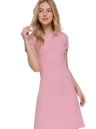 Active Basic USA Short Sleeve Crew Neck A-Line Mini Dress