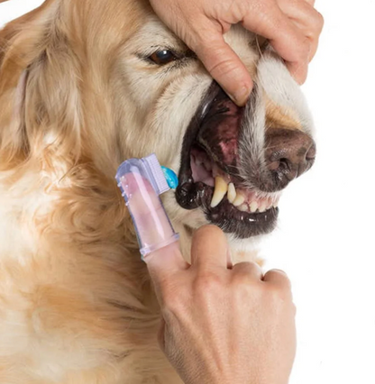 Soft Silicone Finger Toothbrush for Dogs, 2 Count
