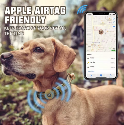 Nylon Soft Adjustable Dog Training Collar with AirTag Holder