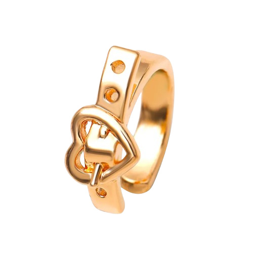 Safe Haven & CO Women Creative Heart Belt Design Clip-On Earrings (2-Pack)