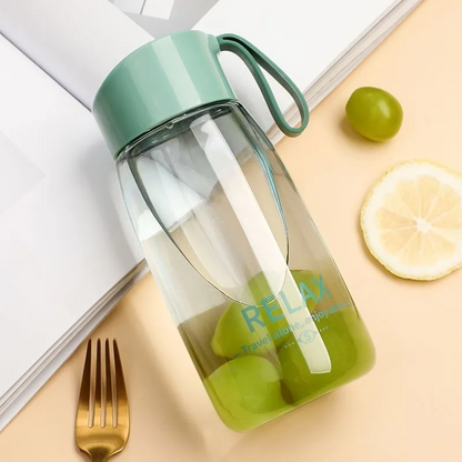 Portable Transparent Plastic Water Bottle with Handle – 500ml