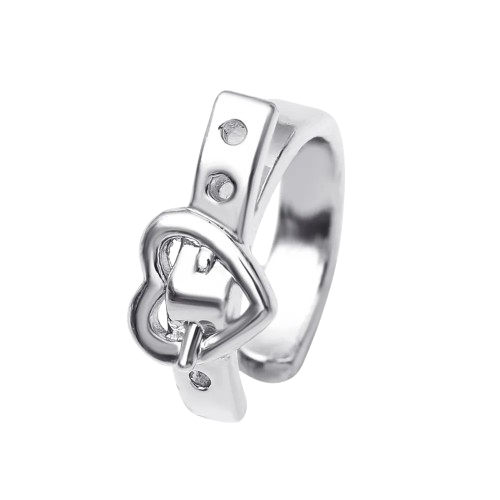 Safe Haven & CO Women Creative Heart Belt Design Clip-On Earrings (2-Pack)