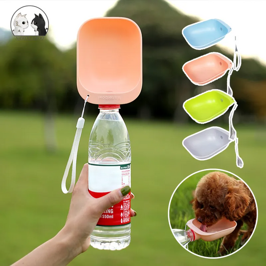 Safe Haven & CO Portable Pet Water Bottle Feeder – Clip-On Drinking Bowl, Assorted Colors