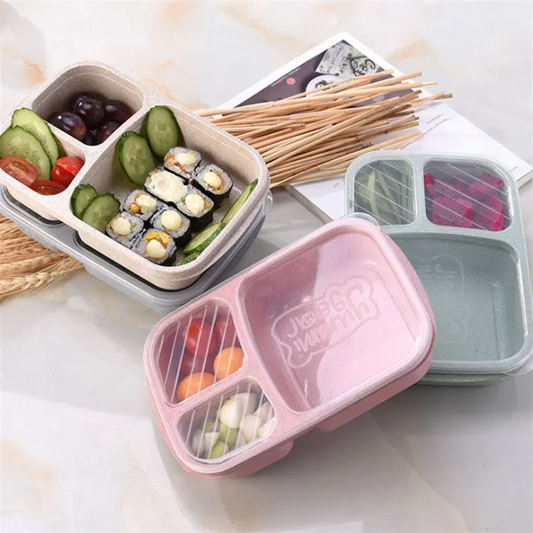 Safe Haven & CO 3-Compartment Bento Lunch Box with Lid