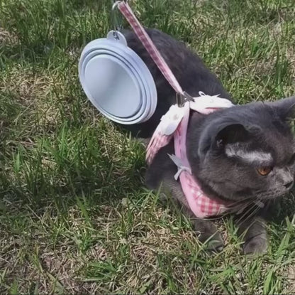 Collapsible Silicone Travel Pet Bowl with Carabiner Clip